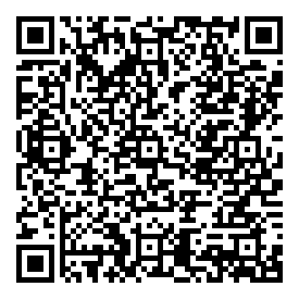 QRCode Sibol Gasschutz- und Feinstaubfilter 87 A2P3 für Respir II